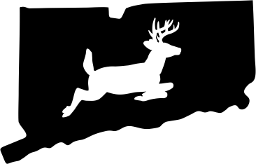 Connecticut Wildlife State Decal