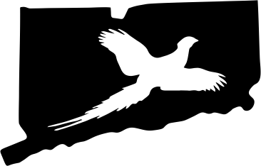 Connecticut Wildlife State Decal