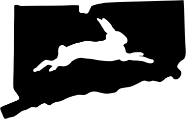 Connecticut Wildlife State Decal