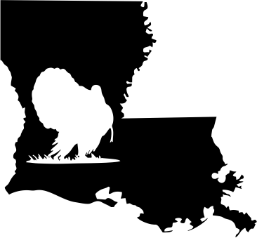 Louisiana Wildlife State Decal