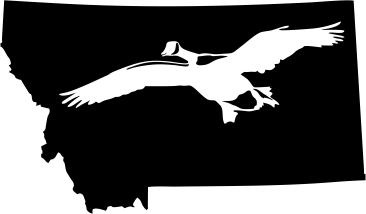 Montana Wildlife State Decal