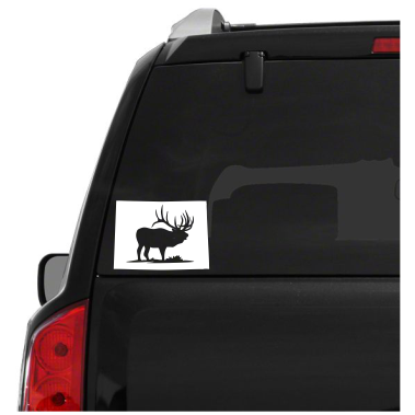 Colorado Wildlife State Decal