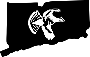 Connecticut Wildlife State Decal