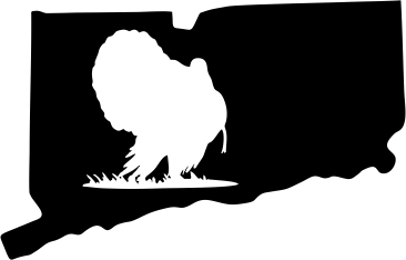 Connecticut Wildlife State Decal
