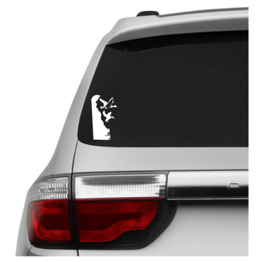 Delaware Wildlife State Decal