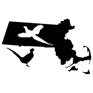 Massachusetts Wildlife State Decal