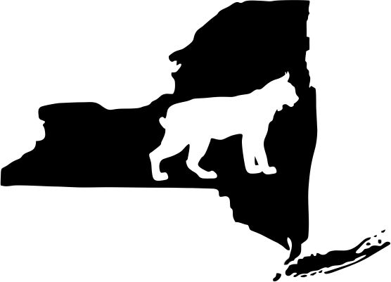 New York Wildlife State Decal