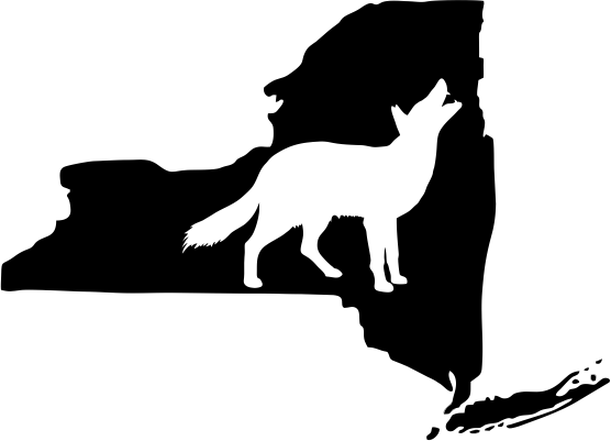 New York Wildlife State Decal