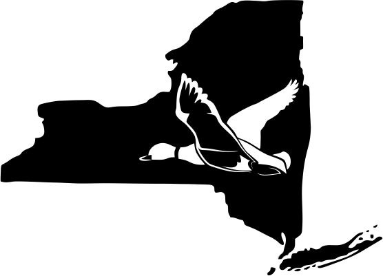 New York Wildlife State Decal