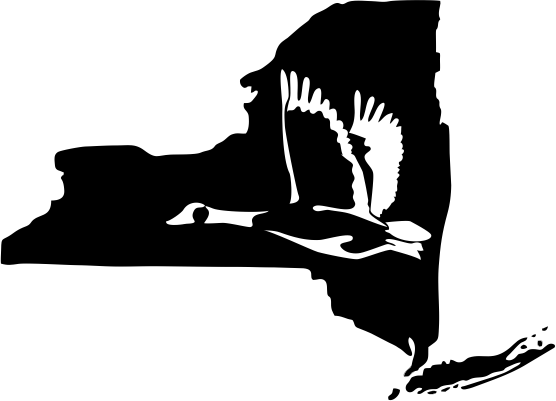 New York Wildlife State Decal