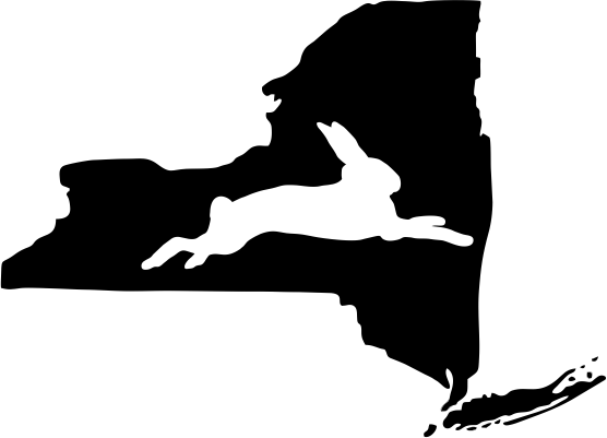 New York Wildlife State Decal