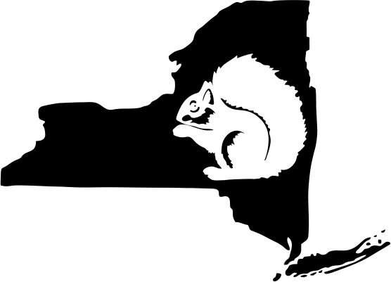 New York Wildlife State Decal