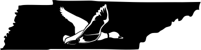 Tennessee Wildlife State Decal