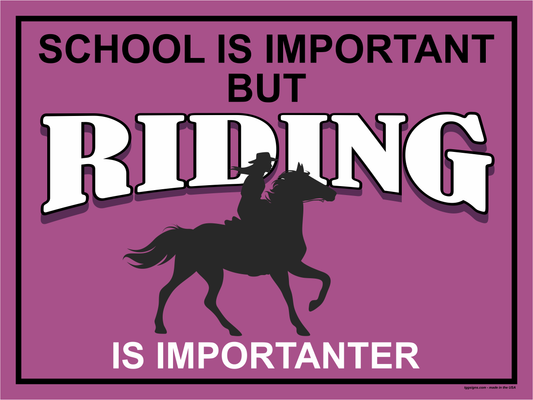 Horse Riding Is Importanter